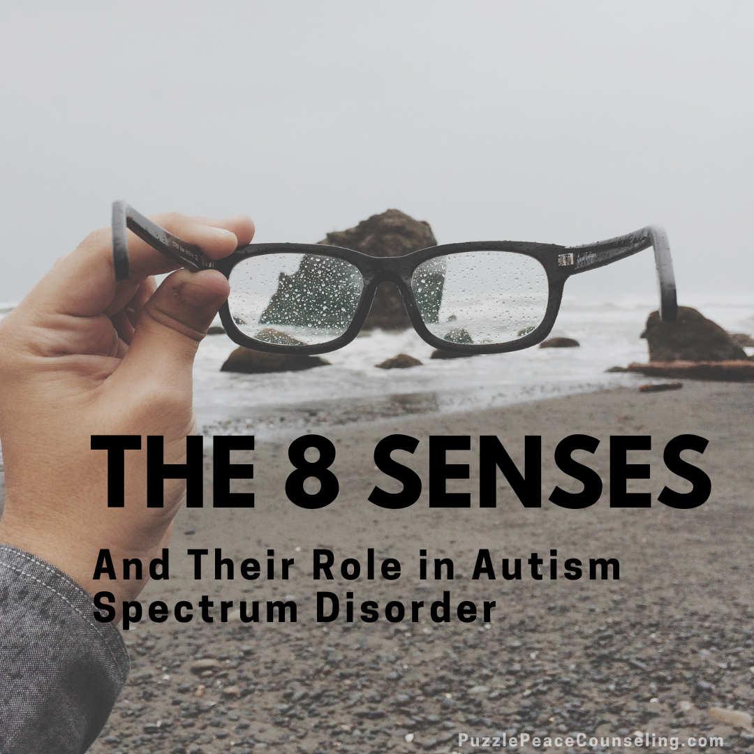The 8 Senses & Autism Spectrum Disorder | Ponte Vedra Beach | 32082